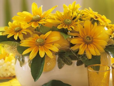 Цвеќиња што цветаат во есен: 4 вида растенија што ќе им успеат и на почетниците