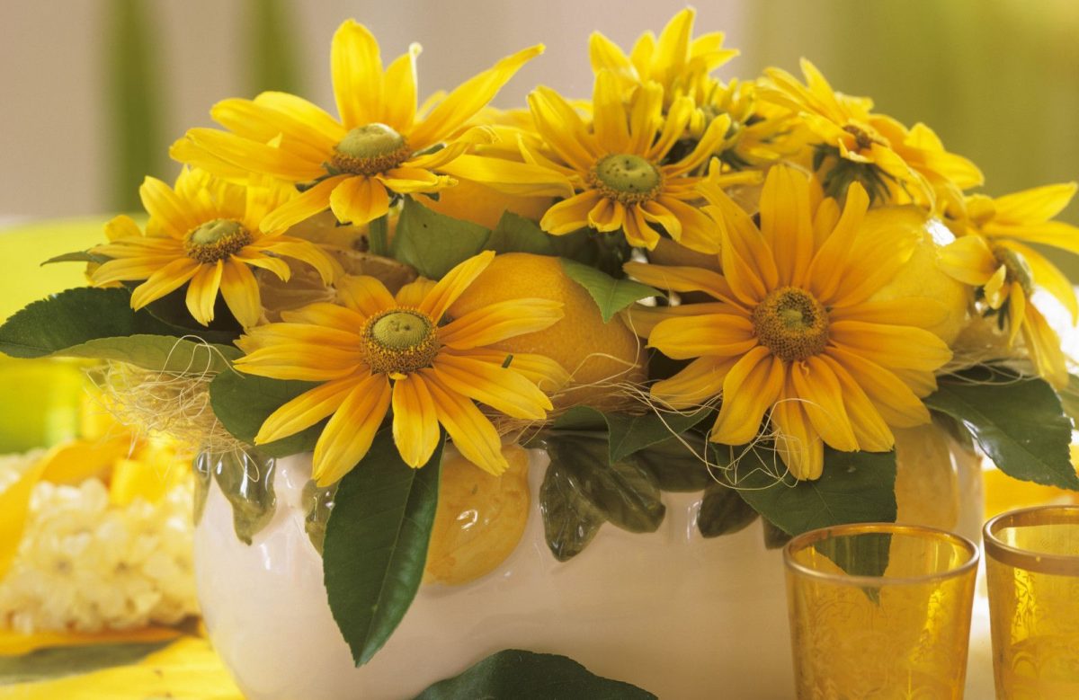 Цвеќиња што цветаат во есен: 4 вида растенија што ќе им успеат и на почетниците