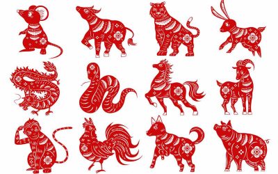Месечен кинески хороскоп за ноември 2021: Период на нови можности