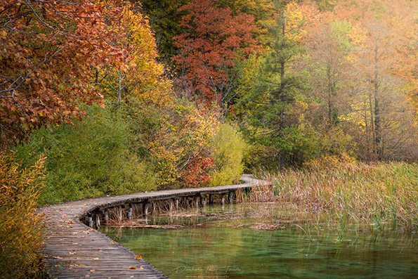 Магијата на Плитвичките Езера во есен доловена преку објективот на еден фотограф