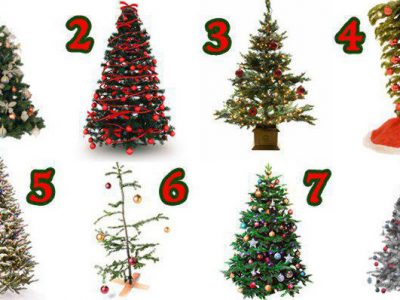 Изберете новогодишна елка и откријте детаљ за вашата личност