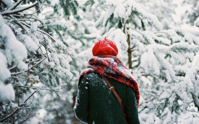 10 цитати за снегот кои ја доловуваат зимската магија