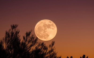 Неделен хороскоп од 17 до 23 јануари: Што ќе ни донесе полната Месечина?