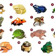 Тест: Изберете жаба и откријте каде лежи вашето богатство!