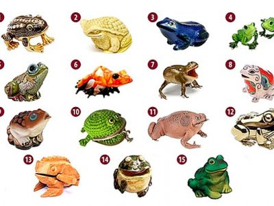 Тест: Изберете жаба и откријте каде лежи вашето богатство!