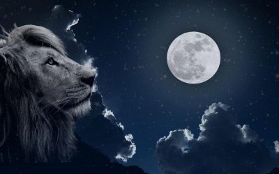 Полна Месечина во Лав од 16 февруари: Конечно ќе го привлечеме она што го посакуваме!