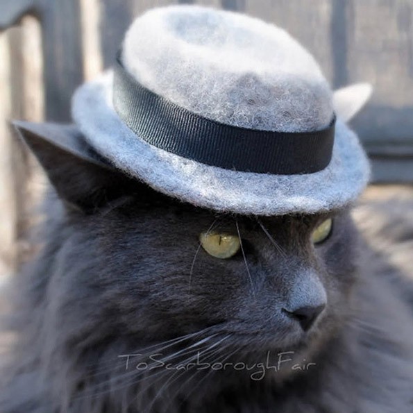 Слатки, мали шапки за мачки со стил! 