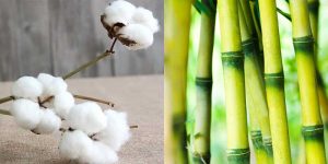 Бамбус или памук: Кој материјал е подобар за животната средина?