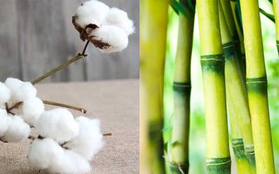 Бамбус или памук: Кој материјал е подобар за животната средина?