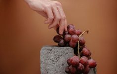 Дали знаевте дека грозјето може да го продолжи животниот век?