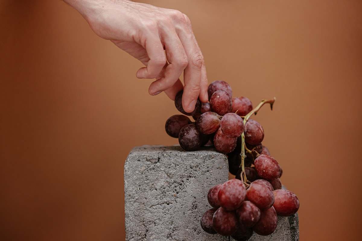 Дали знаевте дека грозјето може да го продолжи животниот век? 