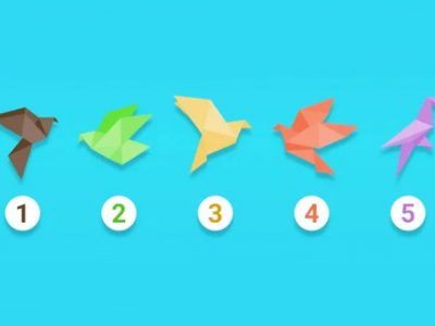 Тест: Одберете оригами и откријте нешто повеќе за сопствениот карактер