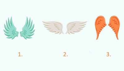 Тест: Изберете ангелски крилја за да откриете која особина ви помага да се справите со тешкотиите