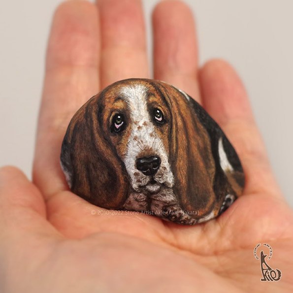 Уметница создава реалистични портрети на животни со помош на камчиња!