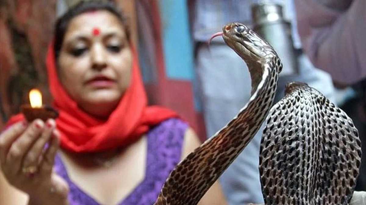 Необично, но вистинито: Во ова село кобрите се сметаат за домашни миленици!