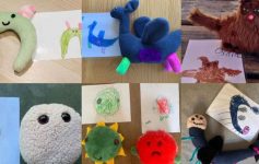 Учителка се инспирира од цртежите на нејзините ученици и изработува плишени играчки за нив!