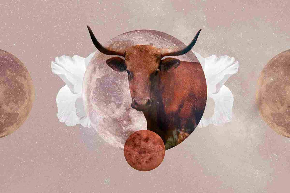 Како ќе ни влијае младата Месечина во Бик на 19 мај?