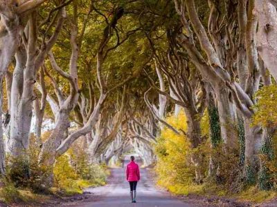 Магичен дрворед во Северна Ирска кој сосема случајно се претворил во туристичка атракција