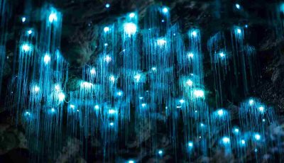 Спектакуларен природен феномен: Светлечки пештери на Нов Зеланд