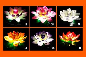 Тест: Изберете лотосов цвет за да добиете совет за вашата моментална животна ситуација!