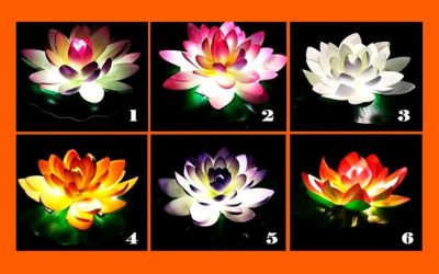 Тест: Изберете лотосов цвет за да добиете совет за вашата моментална животна ситуација!