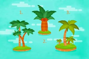 Тест: Изберете палма и откријте што ве очекува ова лето!