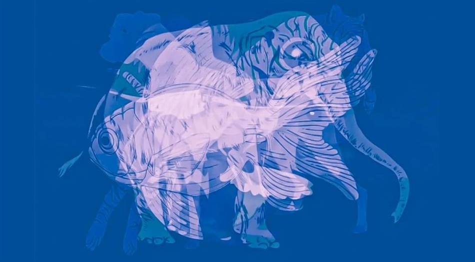 Направете го овој тест на личноста за да откриете нешто повеќе за себе!