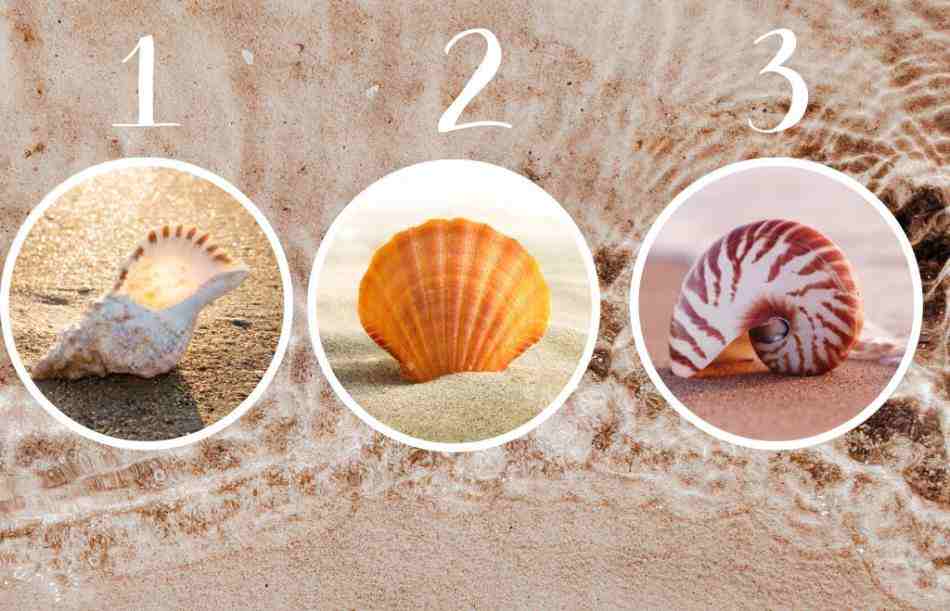 Тест: Изберете школка и откријте што треба да отфрлите од вашиот живот за да бидете среќни!