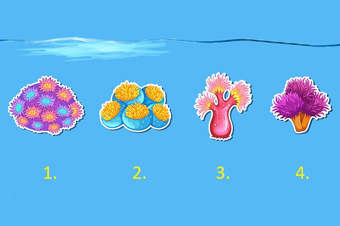 Тест: Одберете корал и откријте што ве очекува во следните 3 месеци!