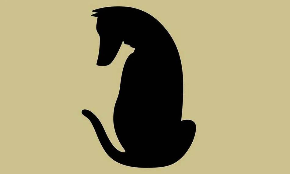 Направете го овој тест и откријте како другите ве доживуваат!